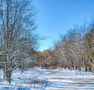 The Pilgrim [Part 3]: Not Your Fault – A Ramadan Story